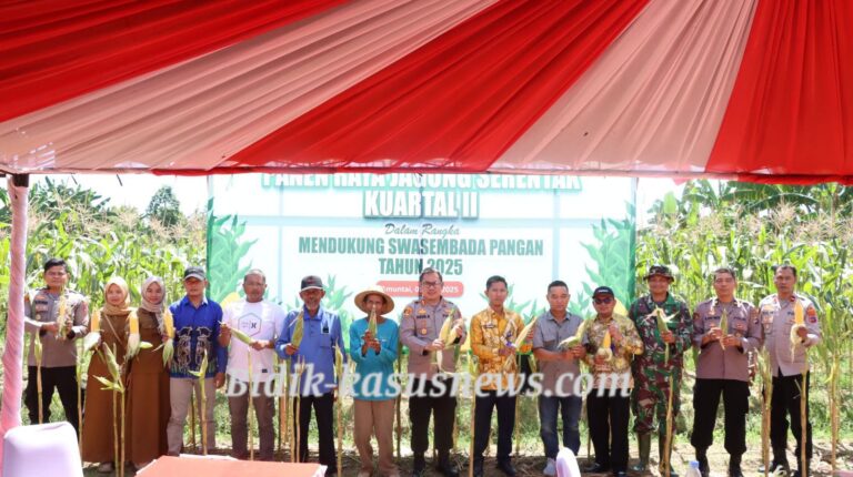 Dukung Swasembada Pangan 2025, Polres Hulu Sungai Utara Gelar Panen Raya Jagung Serentak Kuartal II