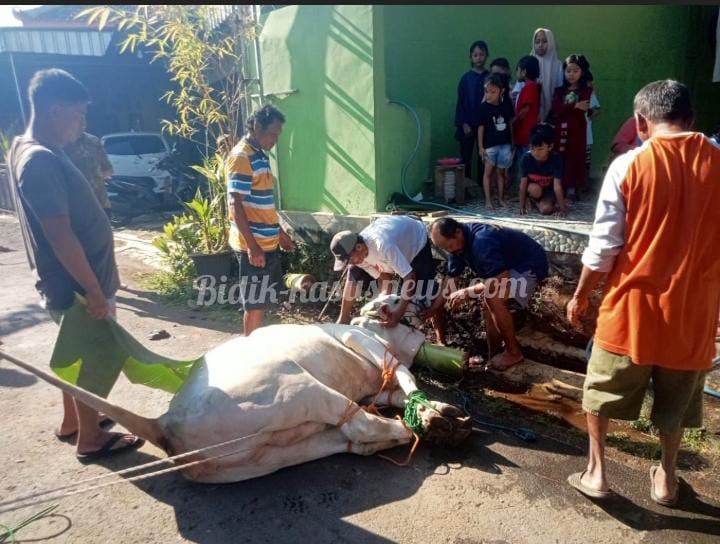 Mushola Sabilulhuda RT 01/RW 01 Kelet Gelar Penyembelihan Qurban 2 Ekor Sapi dalam Semangat Idul Adha