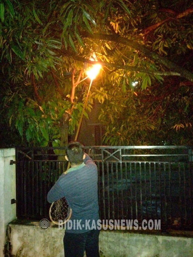 Respon Cepat Aduan Warga, Petugas Damkar Kabupaten Cirebon Evakuasi Sarang Tawon Vespa di Perumahan Kota Alam