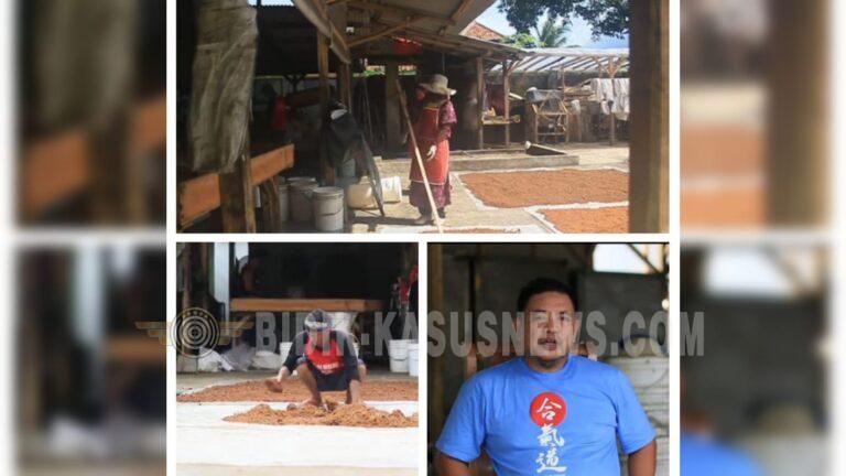 Gula Semut Buniwangi Surade Tembus Pasar Eropa, Usaha Rumahan Angkat Potensi Desa