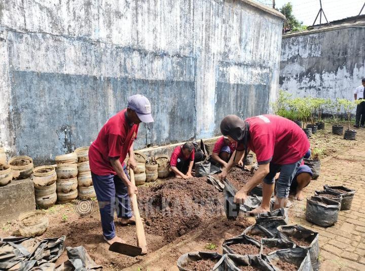Siklus Produktif di Balik Jeruji: Rutan Jepara Panen Sayur dan Olah Lahan Baru