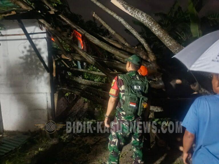 Babinsa Tanjung Baru Sigap Bantu Warga, Pohon Tumbang Akibat Hujan Deras Timpa Rumah di Kedamaian