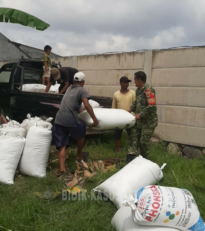 Babinsa Panjang Dampingi Panen Raya di Way Dadi Baru, Hasil Capai 6 Ton per Hektar