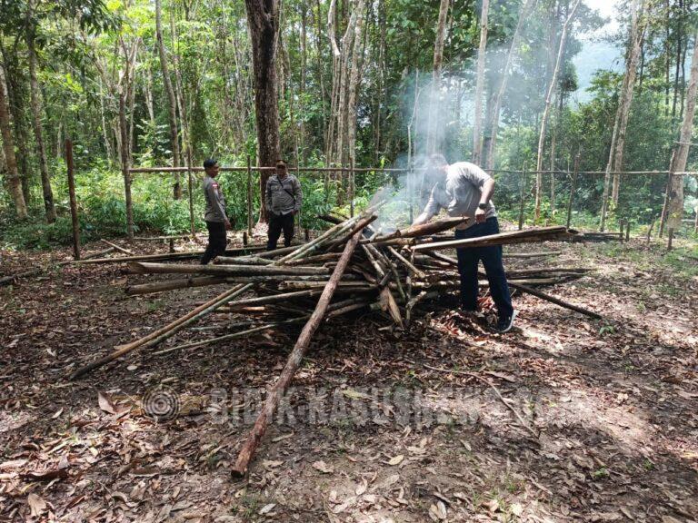 Kapolsek Seberuang Pimpin Langsung Penertipan Arena Judi Sabung Ayam di Dusun Sebalang Hulu