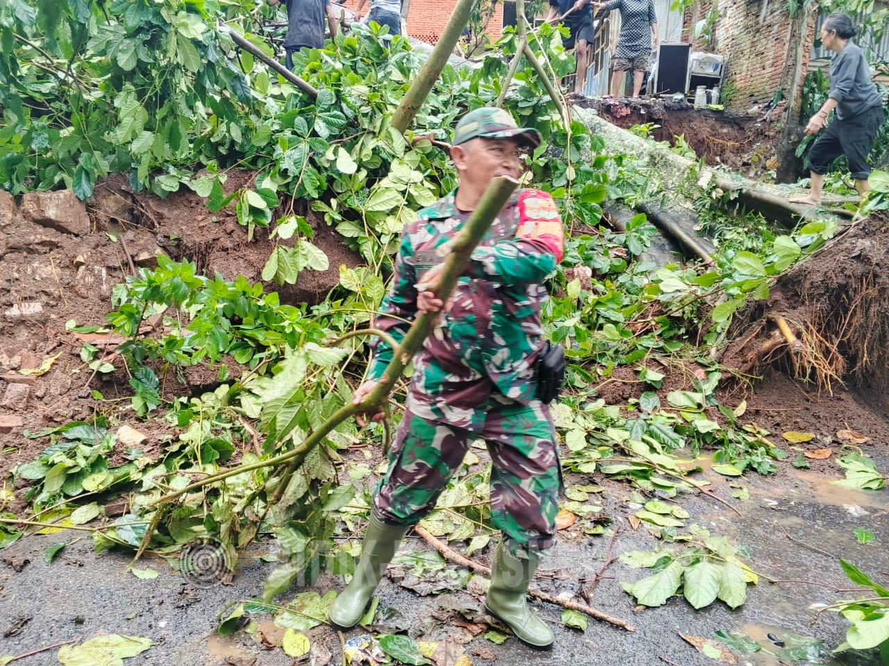 Babinsa Sigap Tangani Pohon Tumbang di Teluk Betung Utara, Akses Jalan Kembali Normal dalam Dua Jam