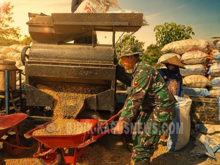 Satgas TMMD Kodim Pati Terjun Bantu Penggilingan Jagung di Desa Godo