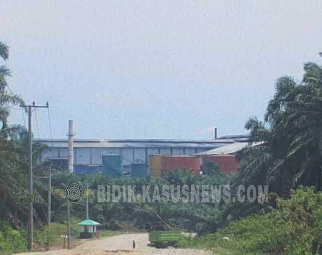 Diduga Desak Media Hapus Berita Soal BLT dan Krisis Air, Kades Bukit Makmur Jadi Sorotan Publik