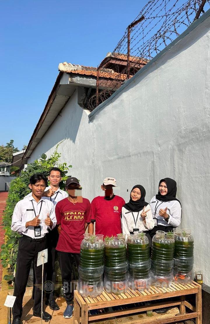 Kreatif dan Produktif, Warga Binaan Rutan Jepara Ciptakan Budidaya “G-Ponik”