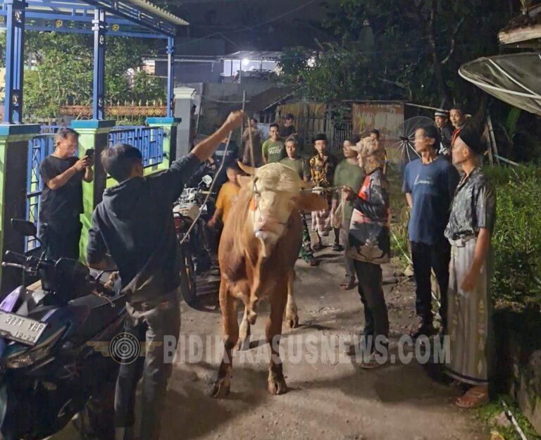 Wabup Kuningan Salurkan Bantuan Sapi Kurban untuk Warga Desa Rambatan Kecamatan Ciniru