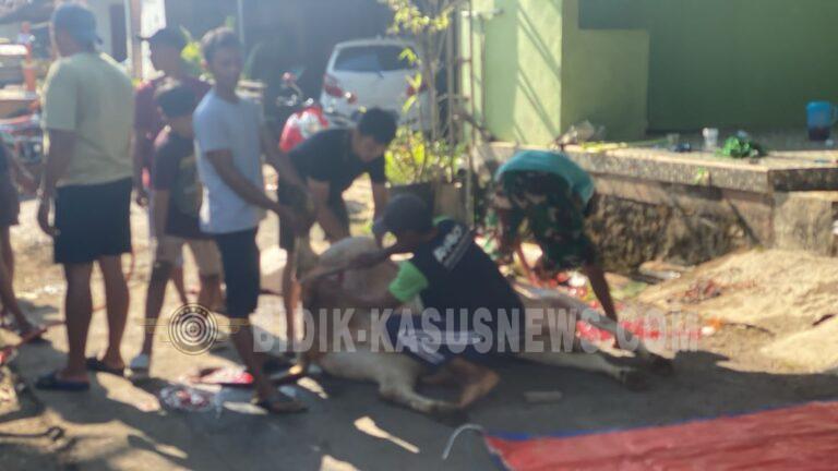Warga RT 01/RW 01 Ranu Kelet Antusias Laksanakan Kurban Iduladha 1447 H