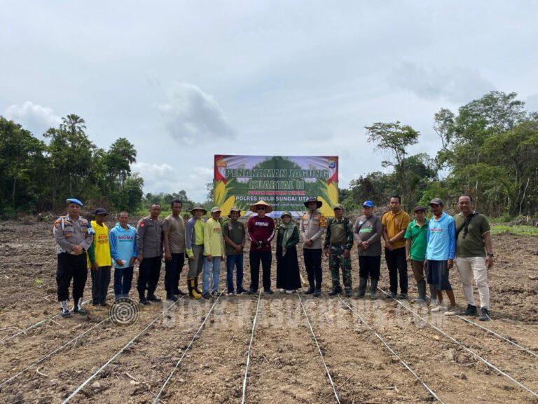 Dukung Swasembada Pangan 2026, Polres HSU Bersama Poktan Tanam Jagung Pakan di Lahan 3 Hektare