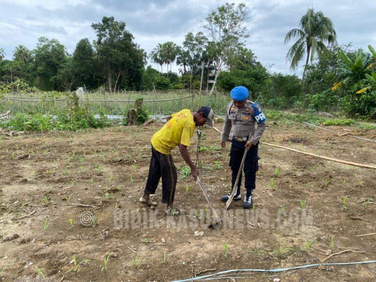 Polsek Amuntai Tengah Pantau Lahan Jagung Tergenang Banjir, Komitmen Dukung Ketahanan Pangan Tetap Berlanjut
