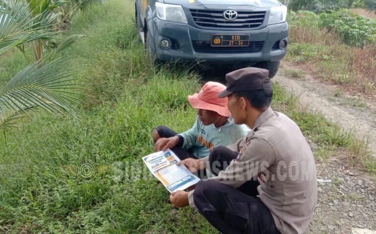 Polsek Banjang Pantau Perkembangan Lahan Jagung 4 Hektare di Pulau Damar, Dukung Program Swasembada Pangan Nasional