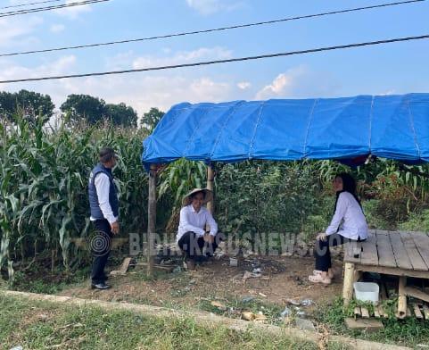Satresnarkoba Polres Majalengka Dampingi Petani Jagung Dukung Ketahanan Pangan
