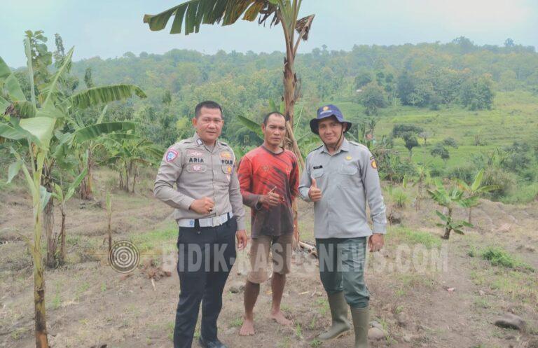 Sinergi Satlantas Polres Kuningan dan Dinas Pertanian Pantau Pertumbuhan Jagung di Desa Cibulan