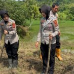 ​Satlantas Polres Kuningan Bersinergi dengan Dinas Pertanian Pantau Ketahanan Pangan di Desa Cibulan