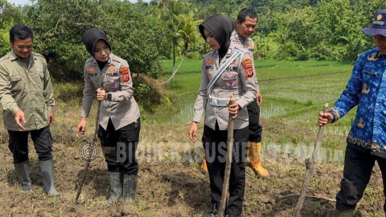 ​Satlantas Polres Kuningan Bersinergi dengan Dinas Pertanian Pantau Ketahanan Pangan di Desa Cibulan