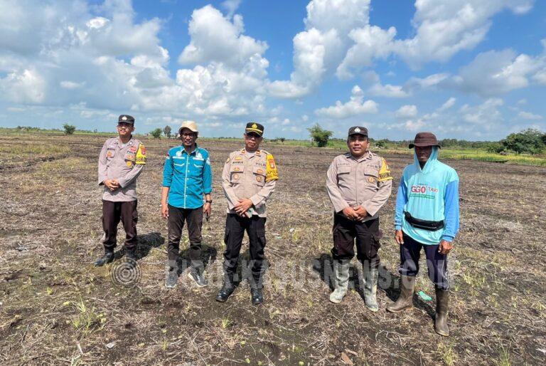 Sempat Gagal Akibat Banjir, Petani Binaan Polsek Danau Panggang Tanam Ulang Jagung untuk Dukung Swasembada Pangan