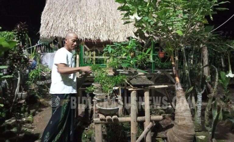 Pengrajin dan Penata Lanskap Asal Surade Berharap Dukungan Modal untuk Kembangkan Usaha Kreatif