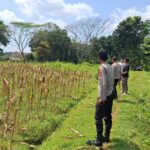 Komitmen Polri dalam mendukung program swasembada pangan dan ketahanan pangan nasional