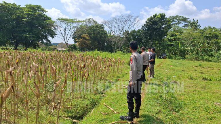 Komitmen Polri dalam mendukung program swasembada pangan dan ketahanan pangan nasional