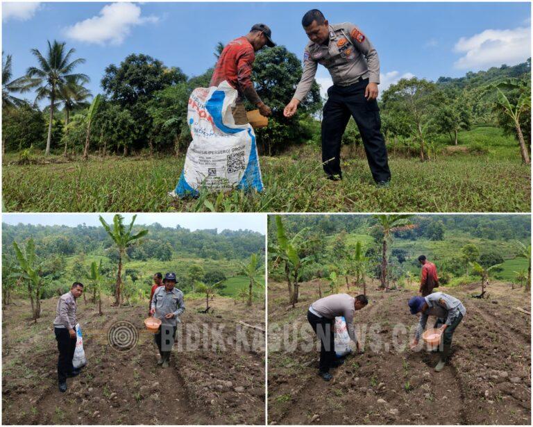 Sinergi untuk Ketahanan Pangan, Satlantas Polres Kuningan Turun Langsung ke Sawah Bantu Petani Desa Cibulan