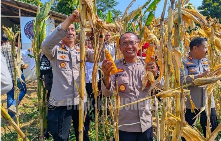 Hadir di Sisi Petani, Polres Kuningan Siap Siaga Jaga Stabilitas Harga dan Distribusi Jagung
