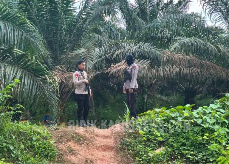 Satbrimob Polda Sumsel Tingkatkan Keamanan di PT BCP Wilmar OKI, Patroli Jarak Jauh Cegah Gangguan Kamtibmas