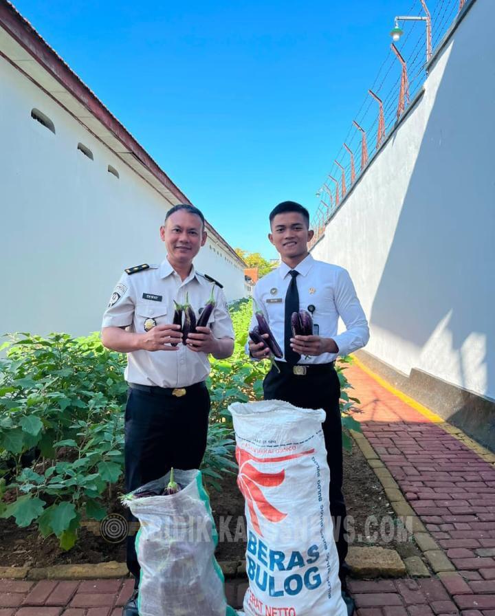 Pemanfaatan Lahan Produktif Berhasil, Rutan Kelas IIB Jepara Panen 42 Kilogram Terong