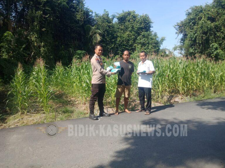 Polsek Amuntai Tengah Pantau Lahan Jagung Terdampak Genangan, Polres HSU Terus Kawal Program Ketahanan Pangan