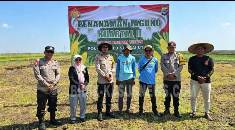 Polsek Amuntai Tengah Dukung Swasembada Pangan, Tanam Jagung Pakan 10 Hektare di Desa Pinangkara