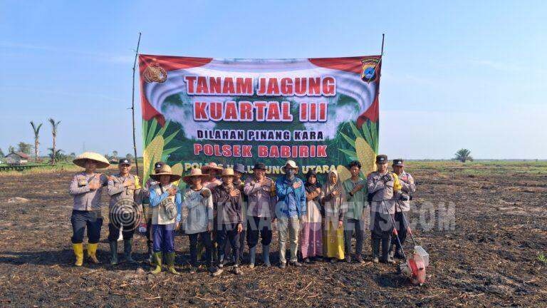 Dukung Swasembada Pangan, Polsek Babirik Tanam Jagung Pakan 2 Hektare Bersama Kelompok Tani di Desa Pinangkara
