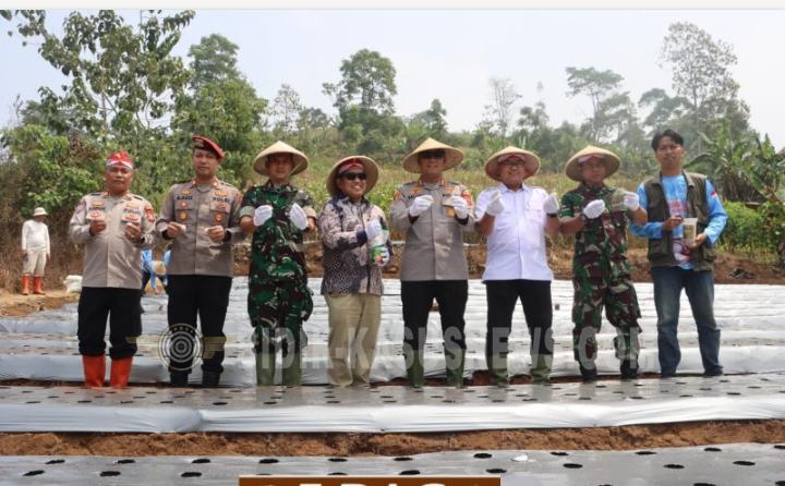 Dukung Ketahanan Pangan, Polres Kuningan Gerakkan Tanam Bawang Putih
