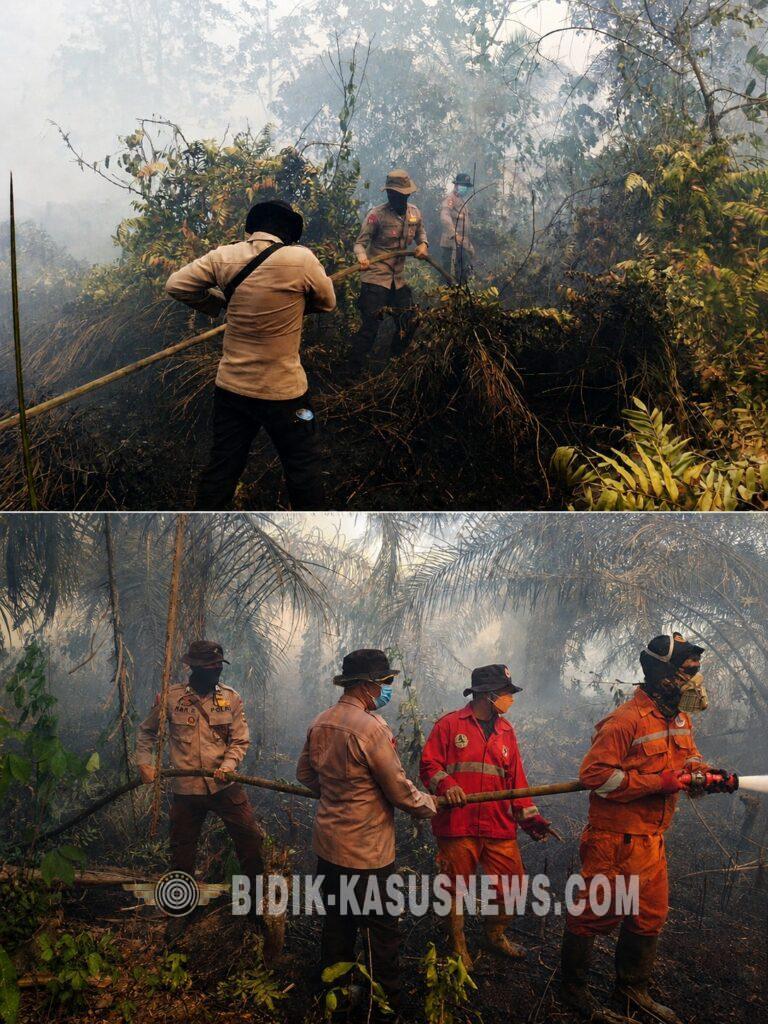 Gerak Cepat Padamkan Karhutla di Tanjung Lago, Tim Gabungan Atasi Kebakaran Lahan Seluas 2 Hektare
