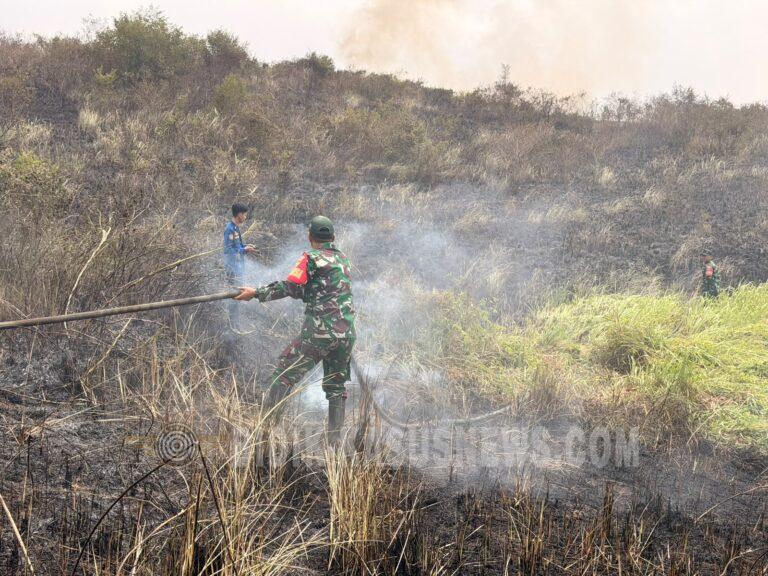 Babinsa Kedaung Gerak Cepat Padamkan Kebakaran Lahan 2,2 Hektare