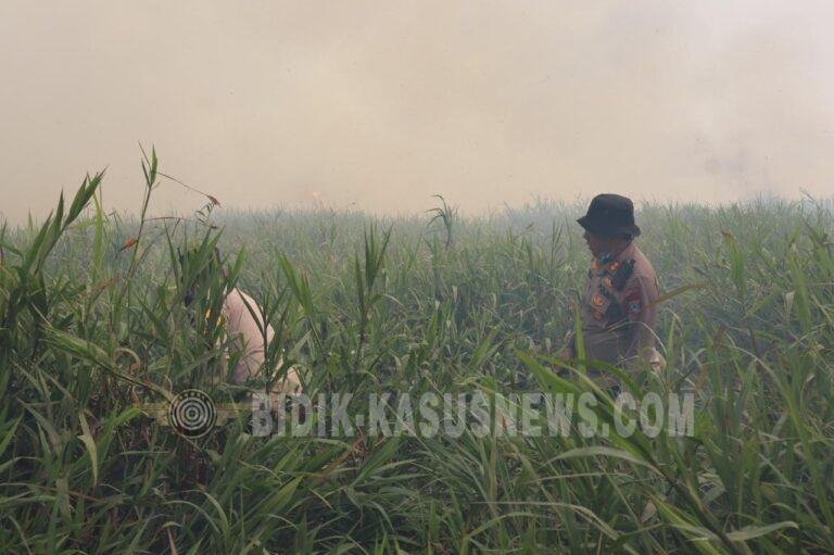 Tiga Titik Hotspot Terdeteksi, Polres HSU Bersama Tim Gabungan Padamkan Karhutla di Pinangkara