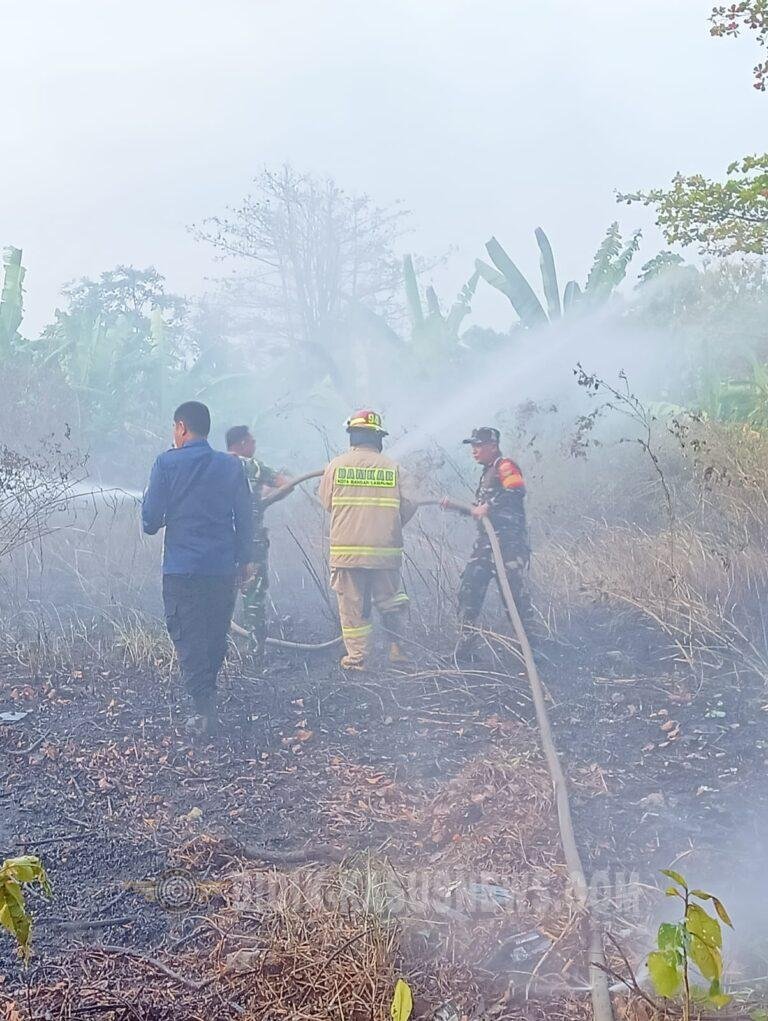 Babinsa dan Damkar Bergerak Cepat Padamkan Kebakaran Lahan Kosong di Sukamaju Bandar Lampung