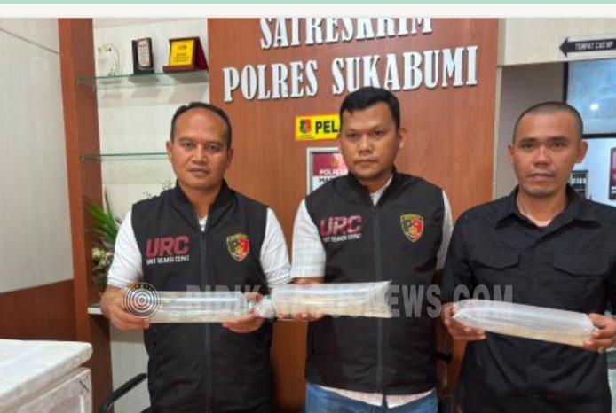 Puluhan Ribu BBL Dilepasliarkan Polres Sukabumi ke Perairan Sangrawayang
