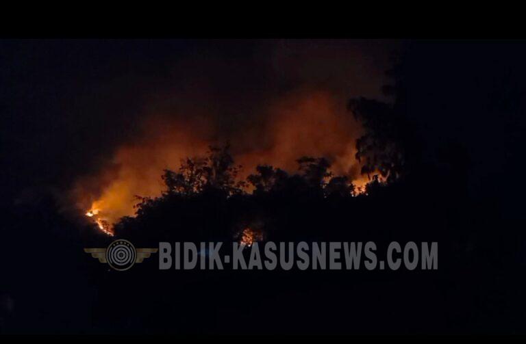 Kobaran Api Lahap Empat Hektare Lahan di Pabuaran, Permukiman Warga Mulai Terancam