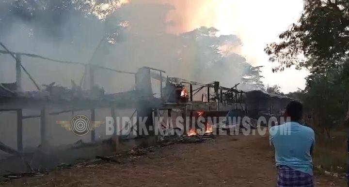 Diduga Korsleting Listrik, Kandang Ayam Berukuran 100 Meter di Waluran Dilalap Api