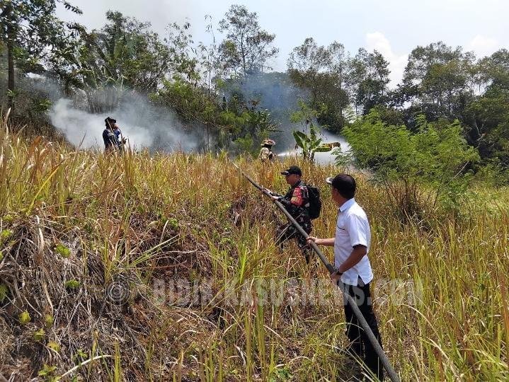 AKSI CEPAT BABINSA KODIM 0410/KBL BERSAMA DAMKAR PADAMKAN KEBAKARAN LAHAN DI BUKIT SEPAGOH