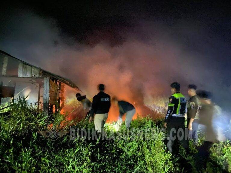 Karhutla di Desa Pinangkara Amuntai Tengah, Setengah Hektare Lahan Gambut Terbakar