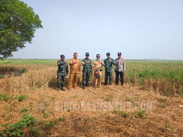 Cegah Karhutla Meluas, Mabes TNI AD Beri Penyuluhan kepada Warga Tambak Sari Panji HSU