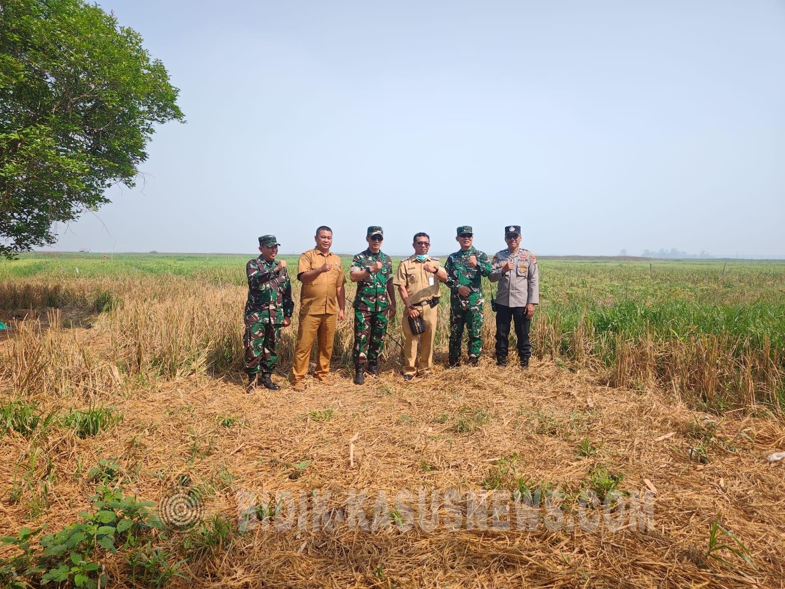 Cegah Karhutla Meluas, Mabes TNI AD Beri Penyuluhan kepada Warga Tambak Sari Panji HSU