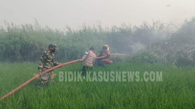 Karhutla Dekati Permukiman di Sungai Turak Dalam HSU, Tim Gabungan Berjibaku Padamkan Api