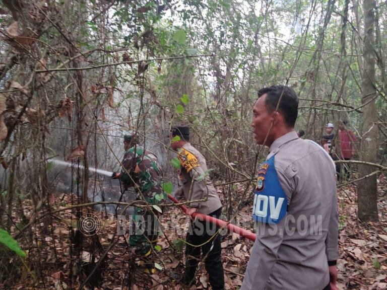 Karhutla di Desa Tangkawang Haur Gading Berhasil Dipadamkan, Polisi dan TNI Bergerak Cepat