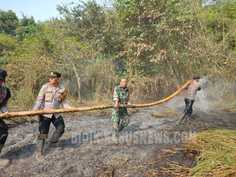 Karhutla di Haur Gading Hanguskan Sekitar 1 Hektare Lahan, Tim Gabungan Bergerak Padamkan Api