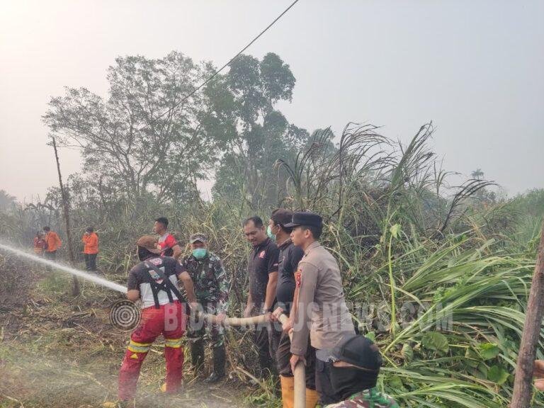 Karhutla di Muara Tapus HSU, 0,2 Hektare Lahan Gambut Terbakar