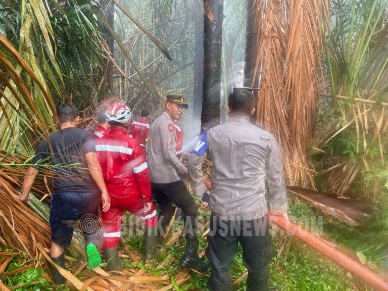 Karhutla di Amuntai Tengah Berhasil Dipadamkan, Lahan Gambut Seluas 0,4 Hektare Terbakar