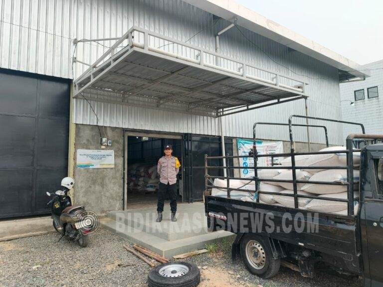 65 Karung Jagung Hasil Panen Kelompok Tani Sungai Pandan Dikirim ke Bulog HST